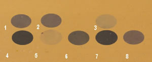 Photo of chemochromic film that was exposed to hydrogen.